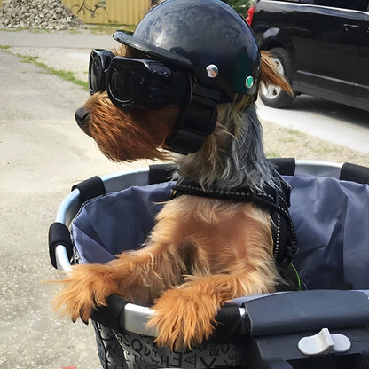 Motorhelm en Beschermbril voor Honden | Trendy en Veilig