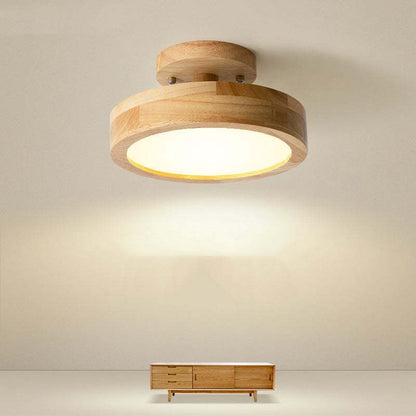 Quinn Modern LED Ceiling Lamp 