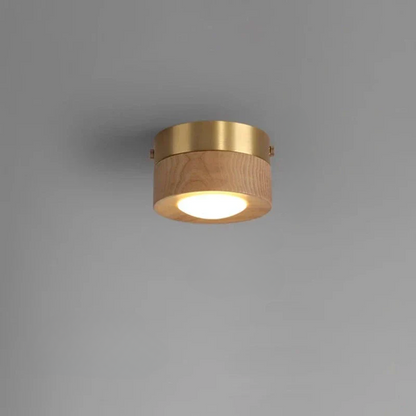 WoodAura - Notenhouten Plafondlamp met LED Spot