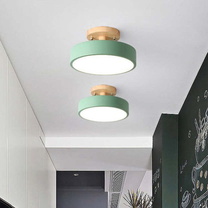 Quinn Modern LED Ceiling Lamp 