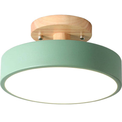 Quinn Modern LED Ceiling Lamp 