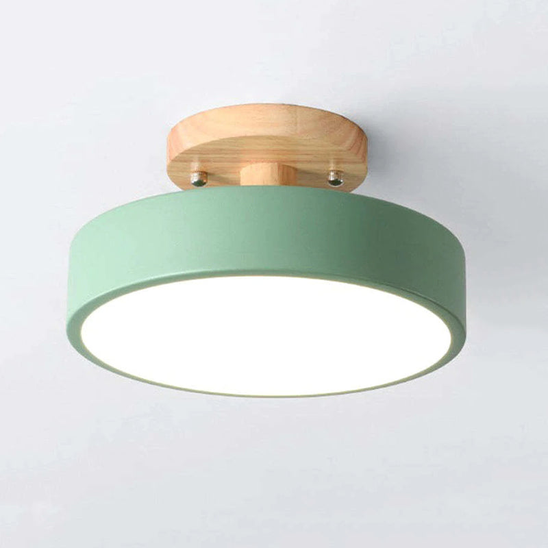 Quinn Modern LED Ceiling Lamp 