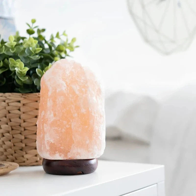 ShellRadiance - Crystal Rock Lamp with Wooden Base 