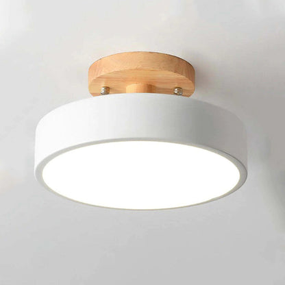 Quinn Modern LED Ceiling Lamp 