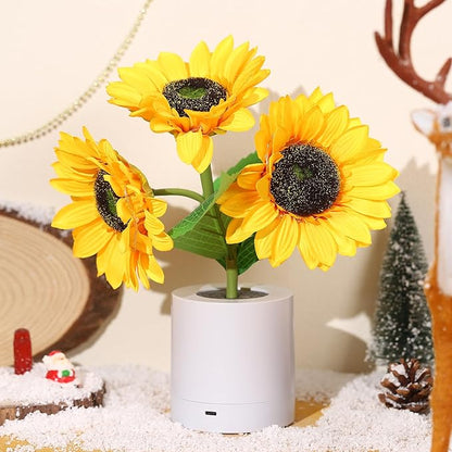 BloomBright – Radiant Flower Lighting