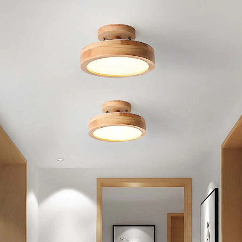 Quinn Modern LED Ceiling Lamp 