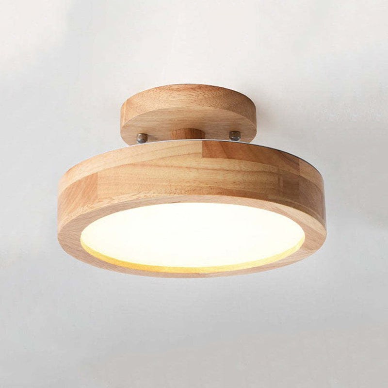 Quinn Modern LED Ceiling Lamp 