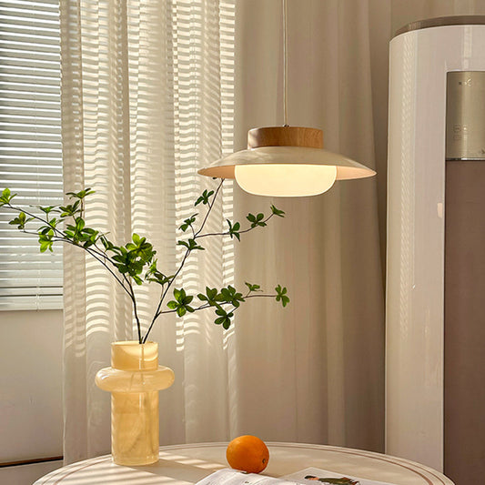 Creative Hanging Lamp in the Shape of a Rice Bowl