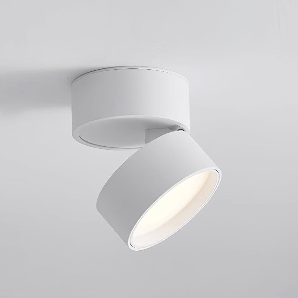 SavvinaLicht - Ceiling Lamp with Adjustable Functionality