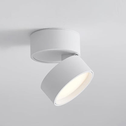 SavvinaLicht - Ceiling Lamp with Adjustable Functionality