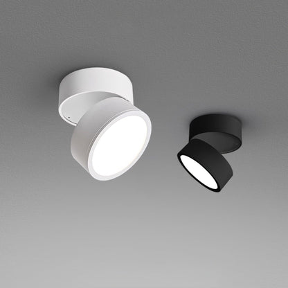 SavvinaLicht - Ceiling Lamp with Adjustable Functionality