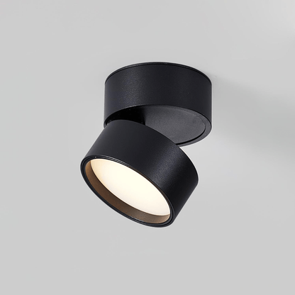 SavvinaLicht - Ceiling Lamp with Adjustable Functionality