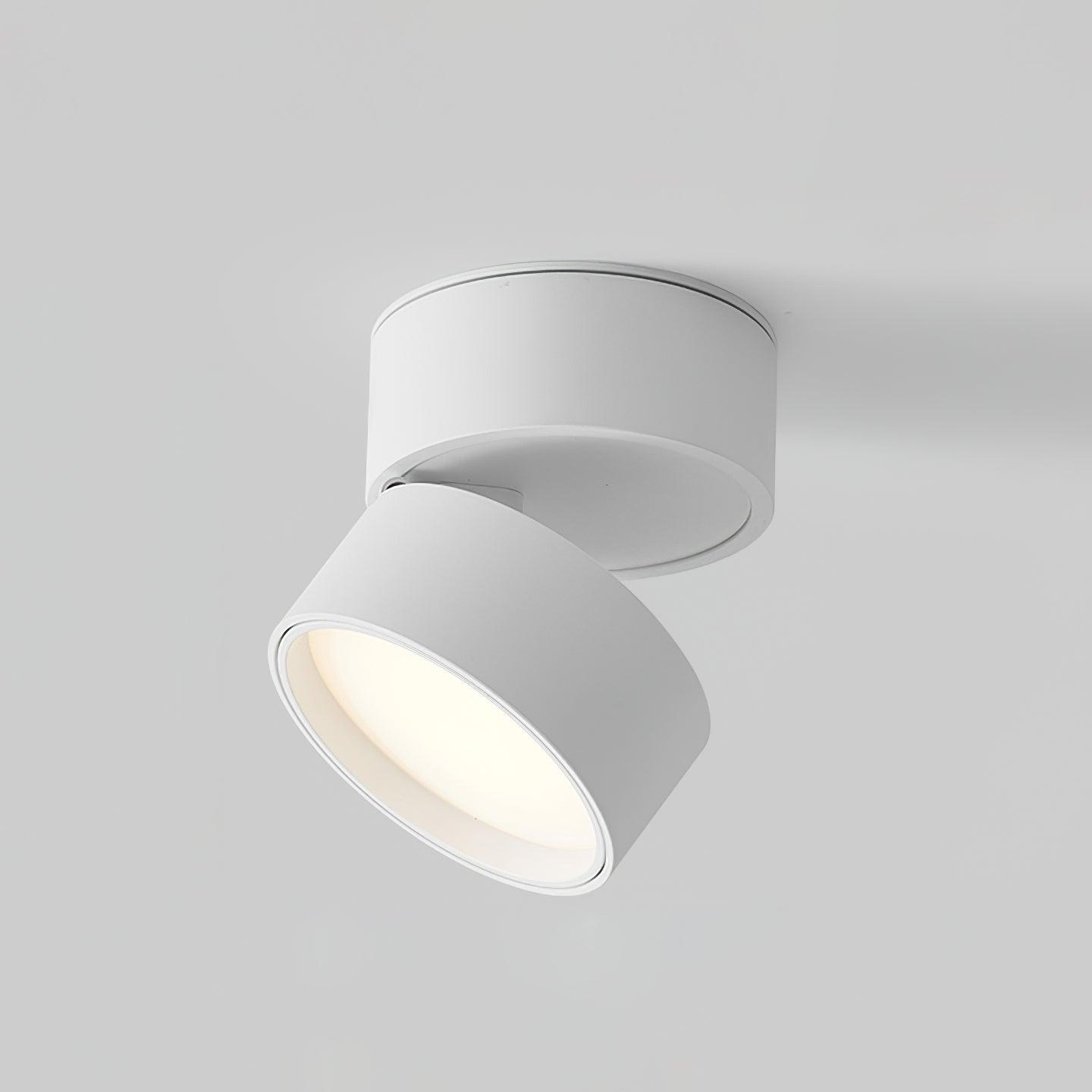 SavvinaLicht - Ceiling Lamp with Adjustable Functionality