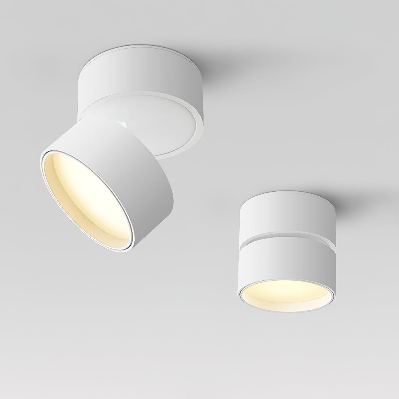 SavvinaLicht - Ceiling Lamp with Adjustable Functionality