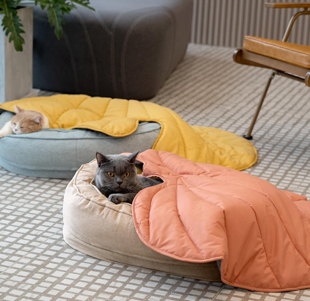 LeafPaws | Comfortabele Hondenspeelmat