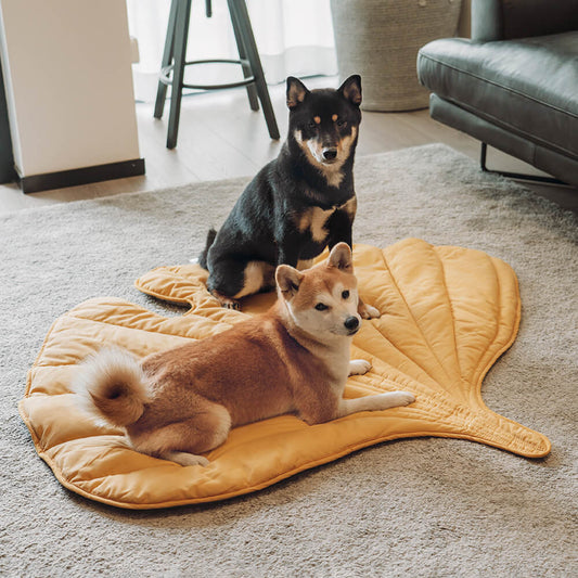 LeafPaws | Comfortable Dog Play Mat