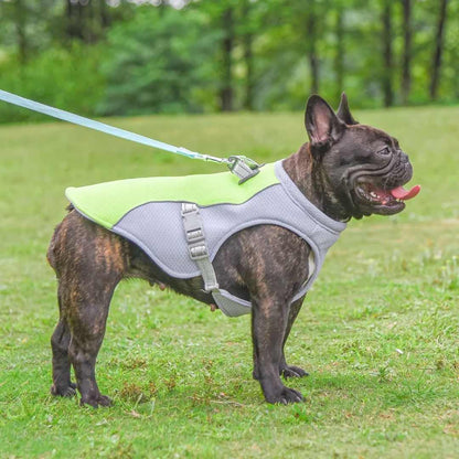 Summer Ice Cooling Vest for Dogs - Dog Cooling Vest for Prevention of Heat Stroke 