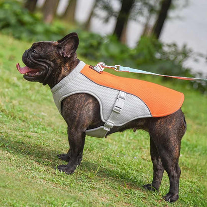 Summer Ice Cooling Vest for Dogs - Dog Cooling Vest for Prevention of Heat Stroke 