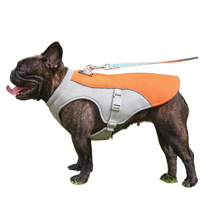 Summer Ice Cooling Vest for Dogs - Dog Cooling Vest for Prevention of Heat Stroke 