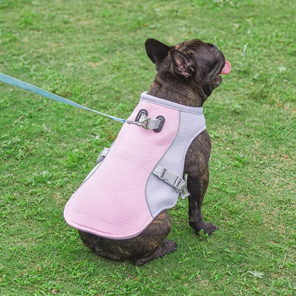 Summer Ice Cooling Vest for Dogs - Dog Cooling Vest for Prevention of Heat Stroke 