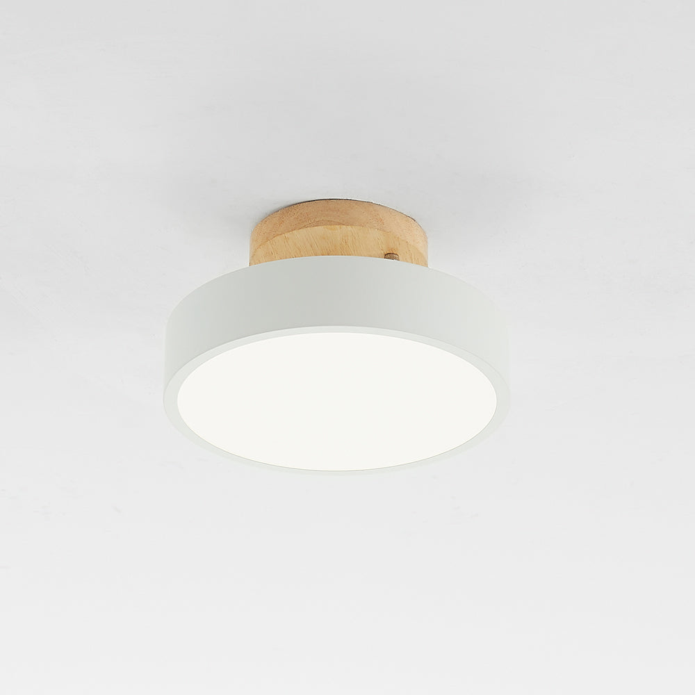 Quinn Modern LED Ceiling Lamp 