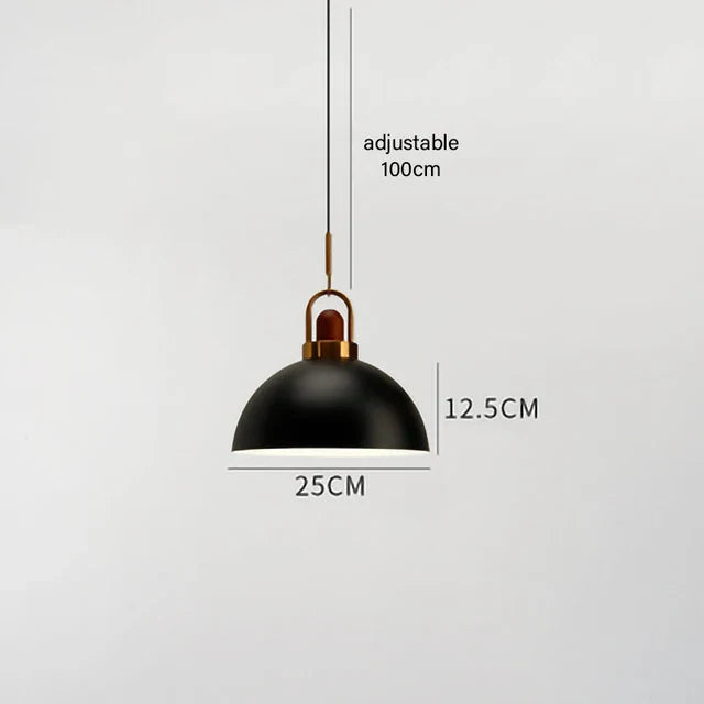 TrendyCreativity - Urban Hanging Lamp 