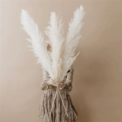 FeatherFawn - Gedroogde Pampas Bloemen