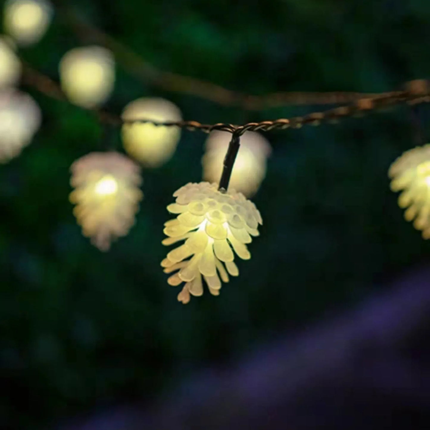 Pinara - Kerstverlichting