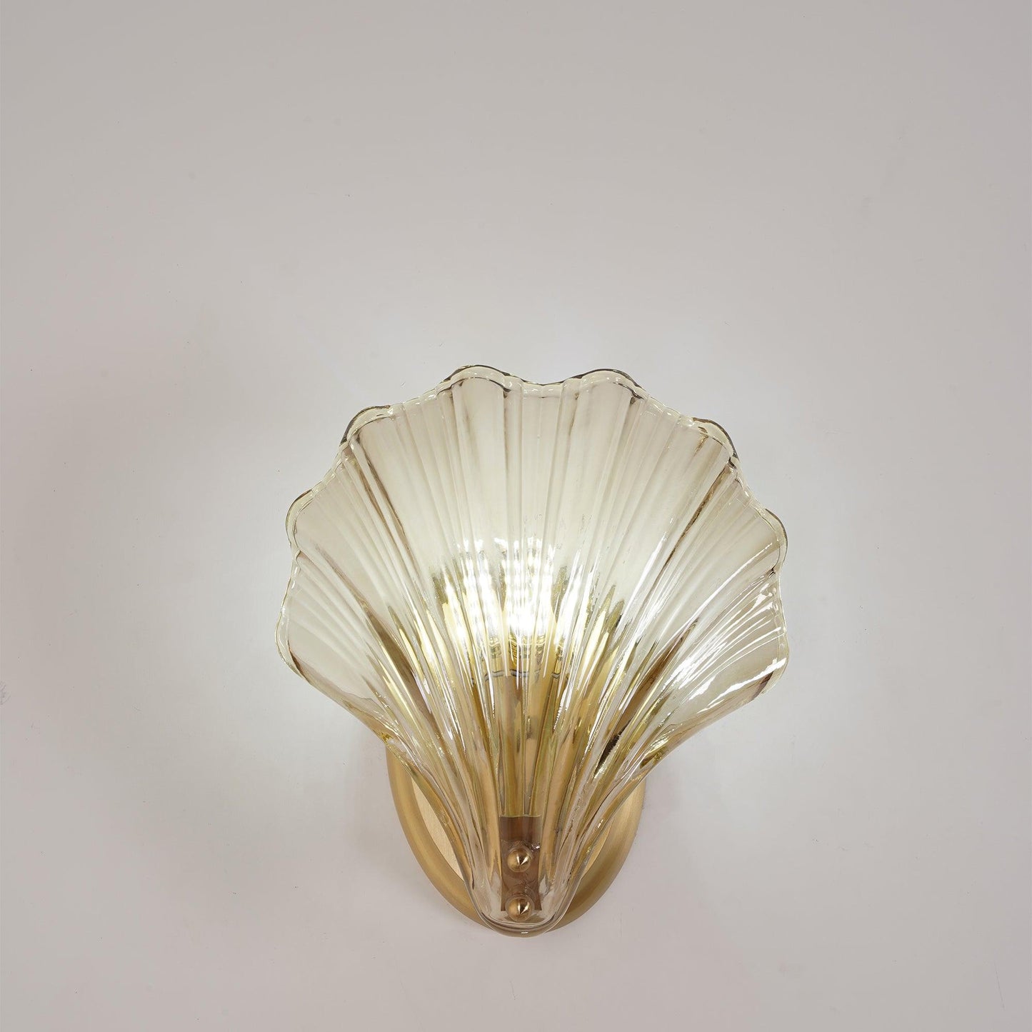 Shell - Soft and Delicate Lighting