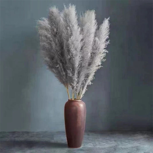 FeatherFawn - Dried Pampas Flowers