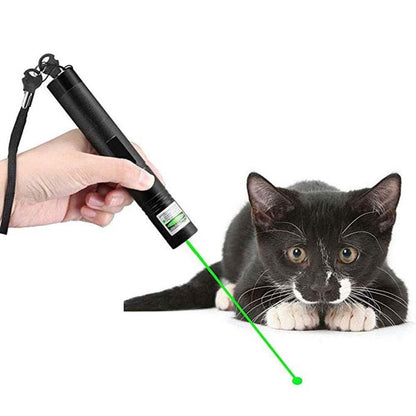 High Performance Laser Pointer 303